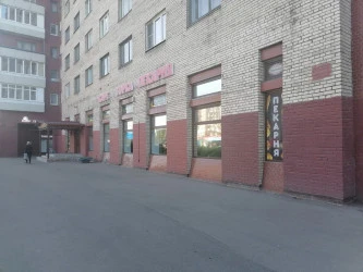 Нежилое помещение 264,9 кв. мна пр. Ветеранов